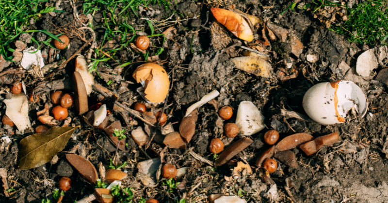 fertiliser les arbres fruitiers
