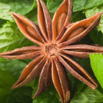 pousser de l'anis étoilé