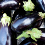 cultiver l'aubergine​
