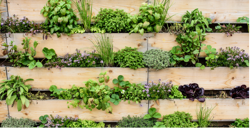 Potager Vertical