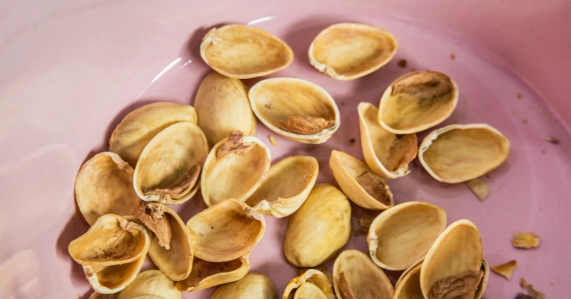 les coquilles de pistache