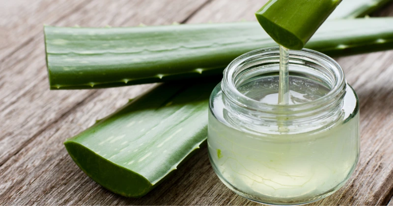 gel d’aloe vera