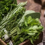 Herbes aromatiques