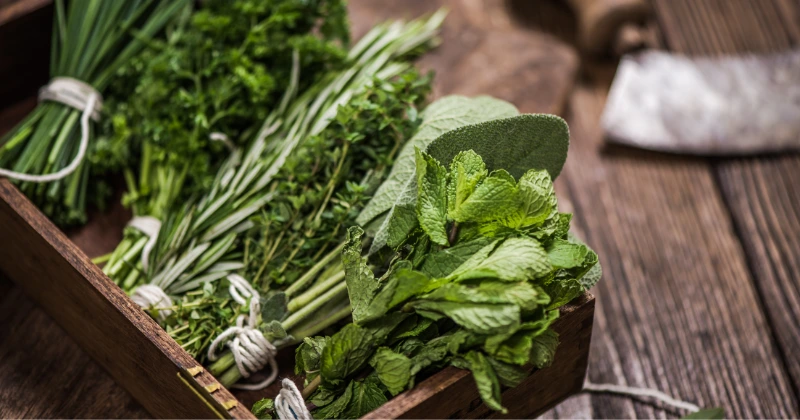 Herbes aromatiques