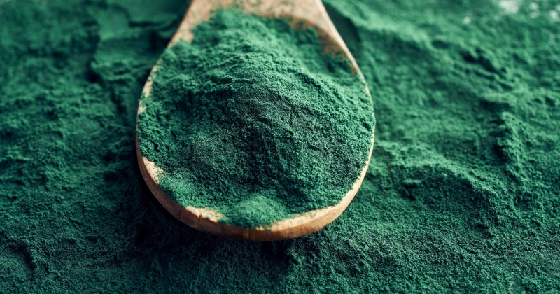 la Spiruline