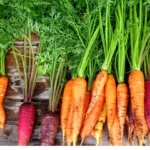 carottes
