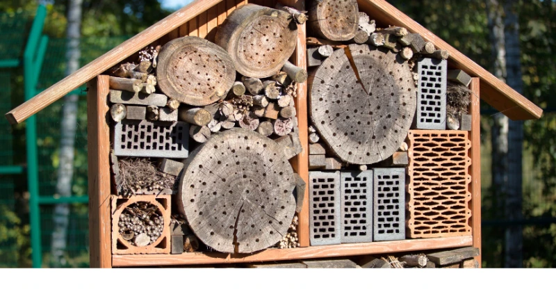 hôtel à insectes