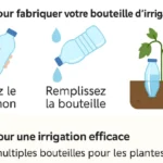 Irrigation solaire bouteille
