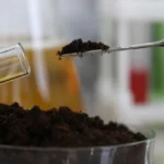 déterminer le pH du sol