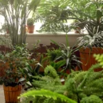 Les meilleures plantes pour détoxifier naturellement l’organisme