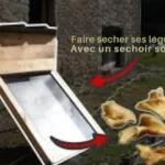 Déshydratation solaire