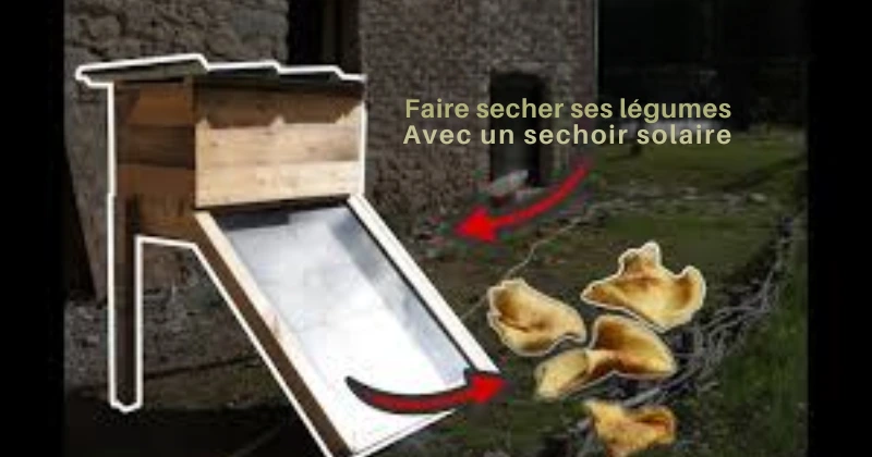 Déshydratation solaire