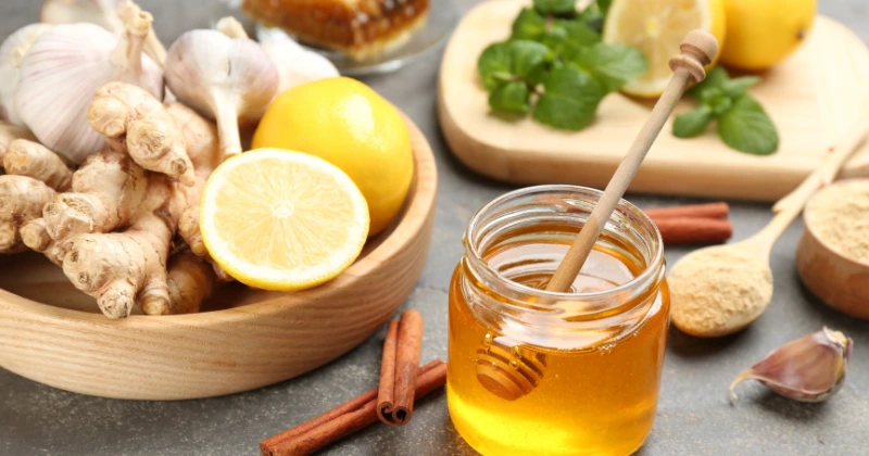 Les antibiotiques naturels