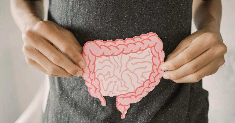 Santé intestinale
