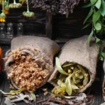 Plantes médicinales à récolter en automne et à utiliser en hiver