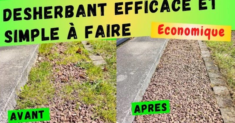 Des Désherbants Bio à Fabriquer Soi-Même
