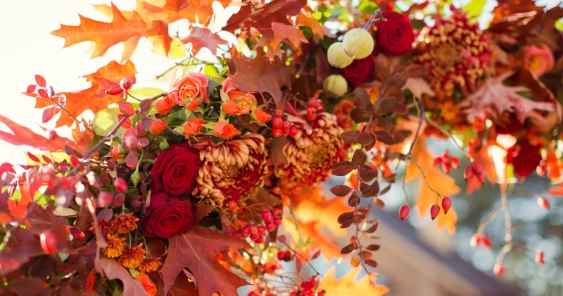 Fleurs d’Automne