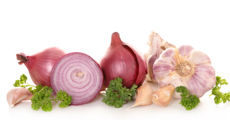 L’ail et l’oignon contre les infections
