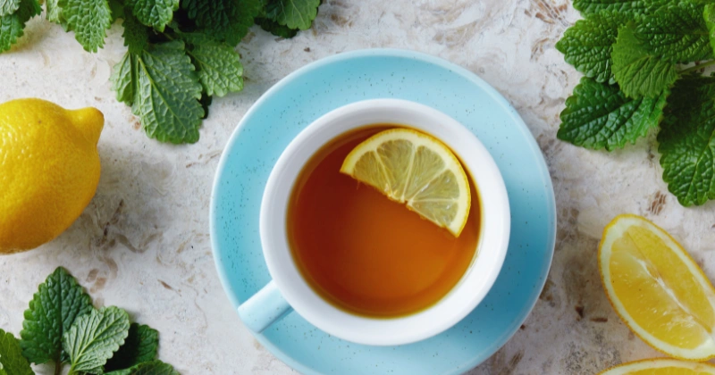 Tisane de Mélisse
