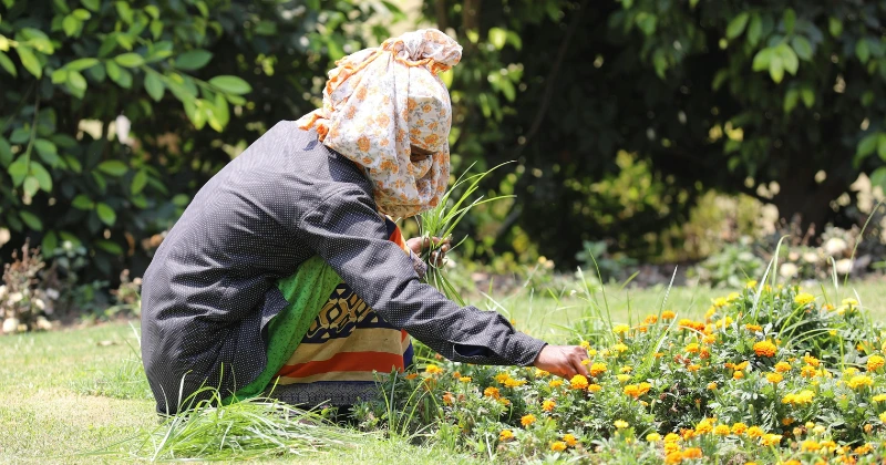 Les Bienfaits du Jardinage sur la Santé