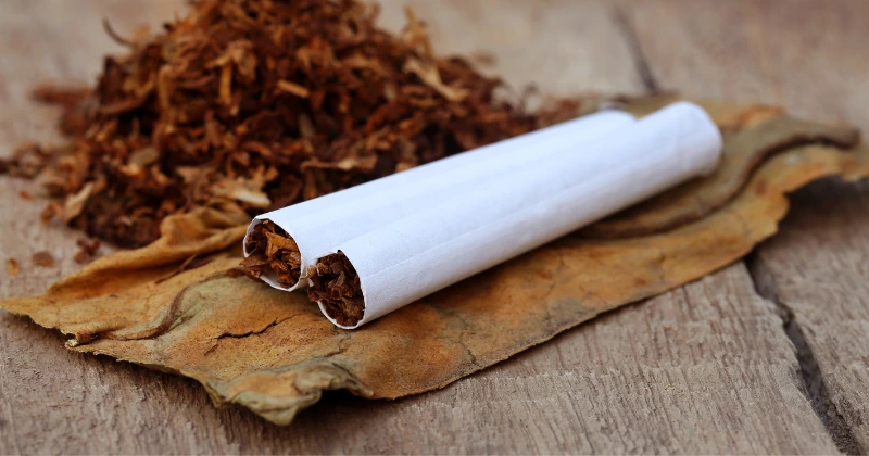 Les Effets du Tabagisme