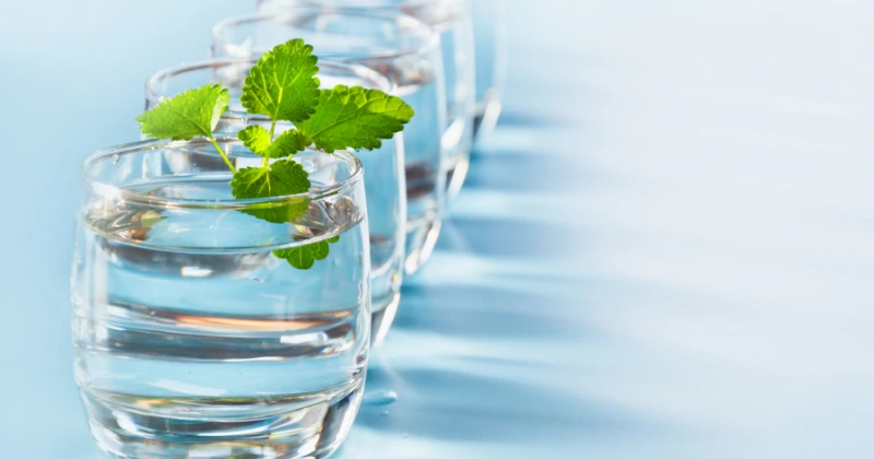 Les bienfaits de l’eau
