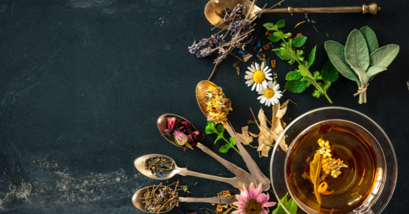 Plantes à Faire Sécher pour des Tisanes
