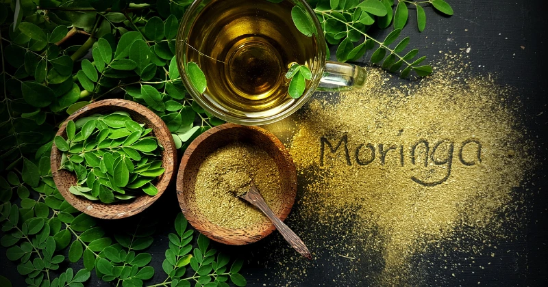 Moringa